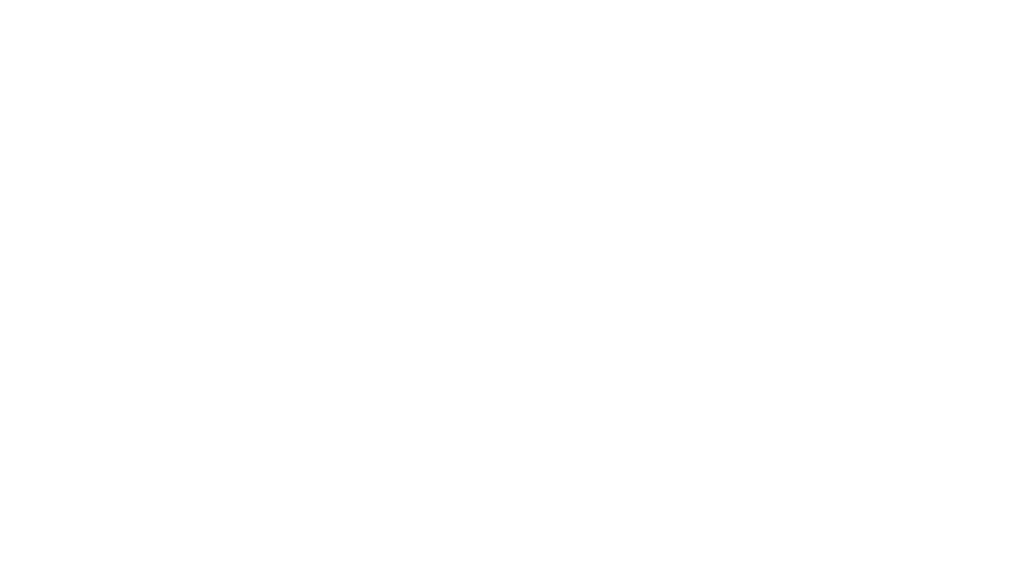 Love City Inc
